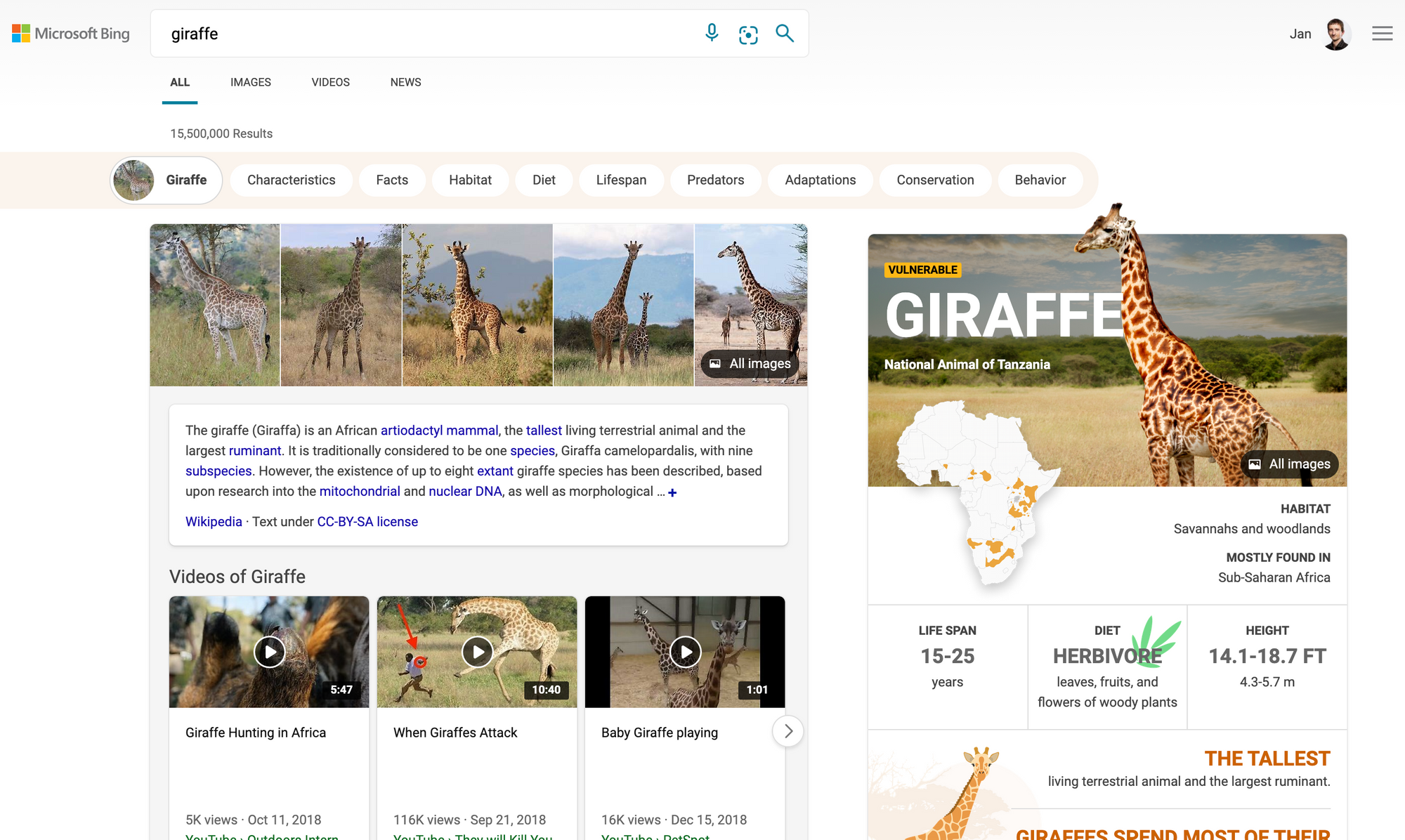 [Giraffe] - Bing Search